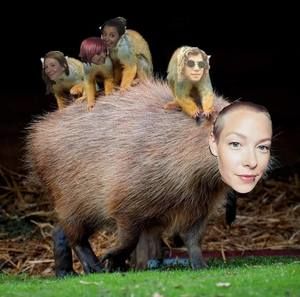 Meet your Posher, Laurel